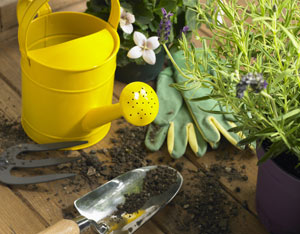 Gardening can boost the curbside appeal of your home, but tilling soil and trimming plants can also bring a major dose of stress relief.